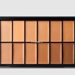 باليت ماك فاندويشن